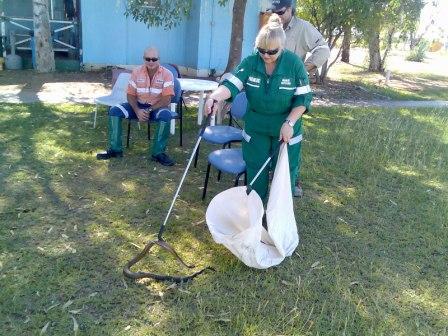 marie catching snakes